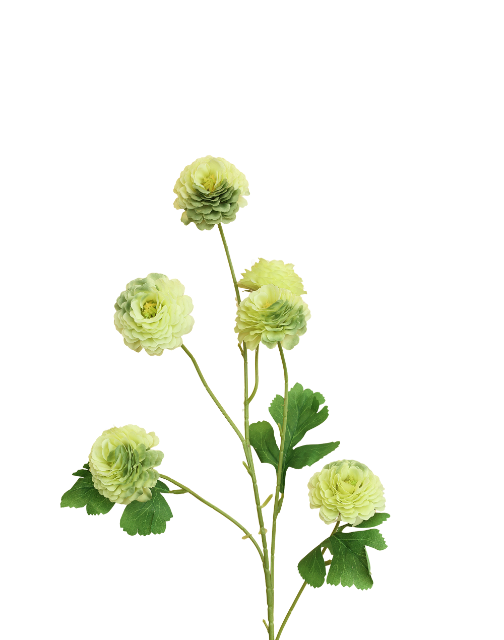 Mini Ranunculus Spray | Available in 3 Colors