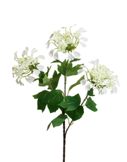Queen Ann Lace | Available in 2 Colors