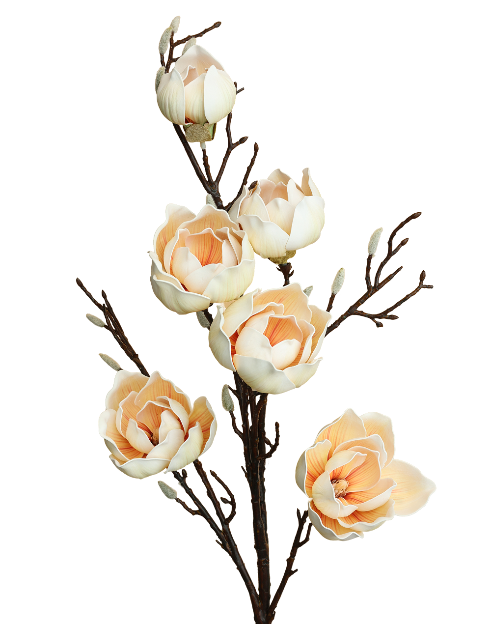 Magnolia Branch Spray | Available in 2 Colors