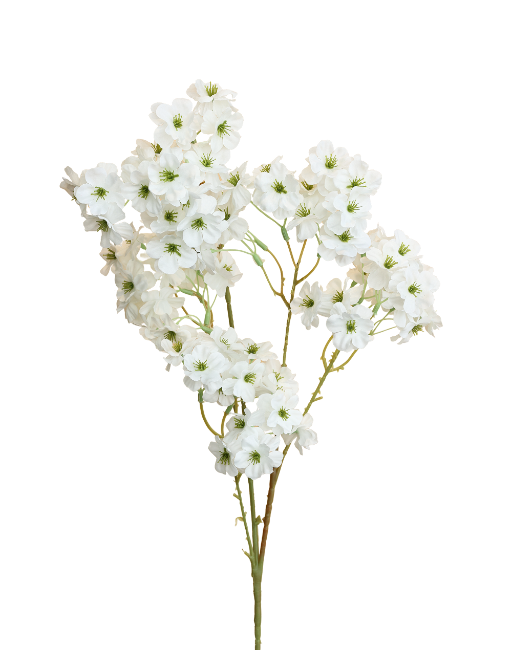 Cherry Blossom Sakura Spray | Available in 4 Colors