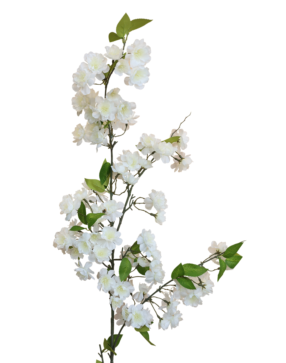 Yaezakura Cherry Blossom | Available in 2 Colors