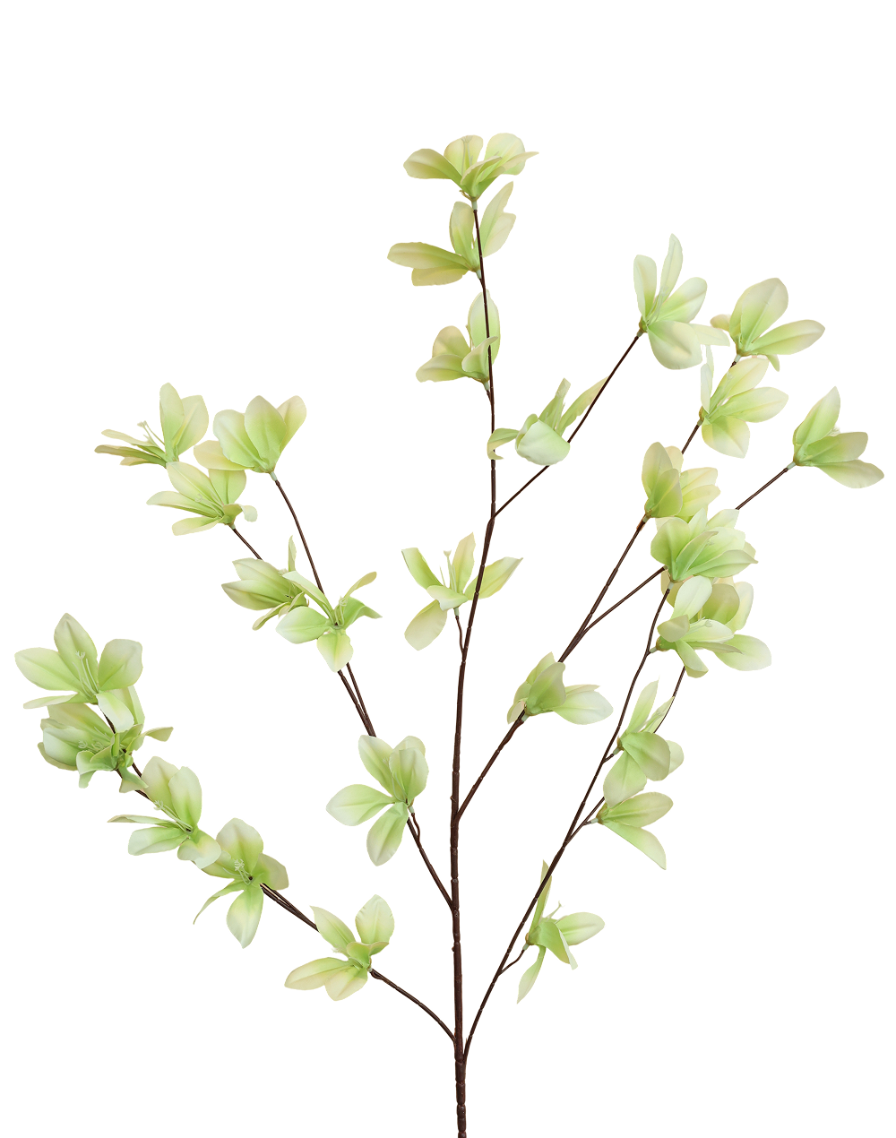 Lime Silk Flower Branch Green