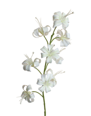 Oriental Garden Lily | Available in 2 Colors