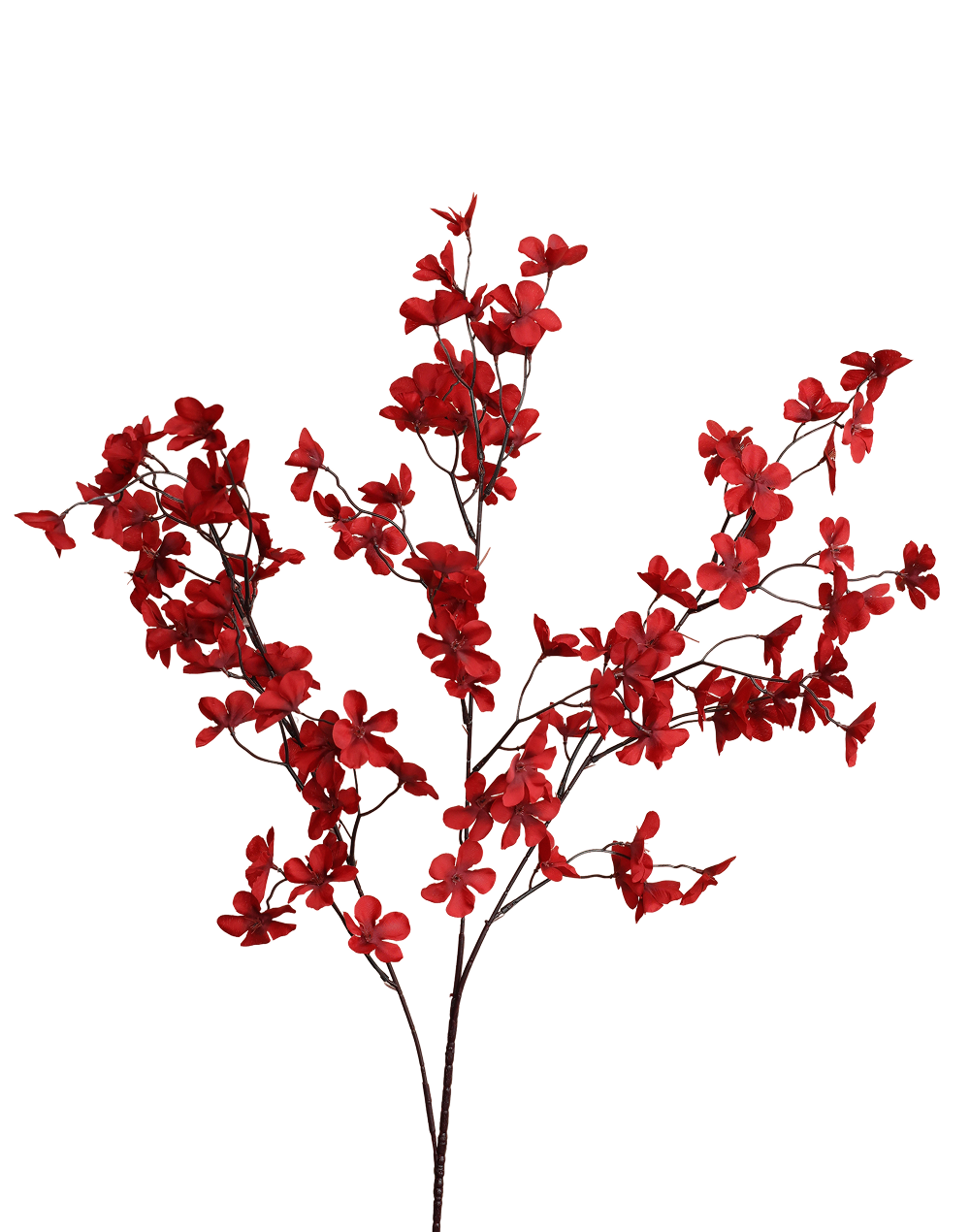 Cherry Branch | Available in 3 Colors