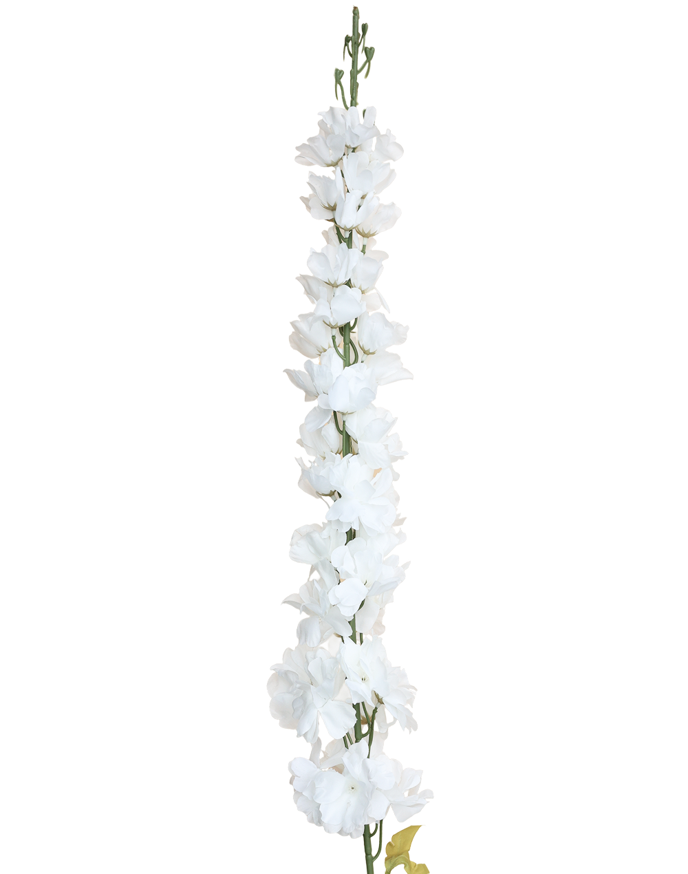 Silk Delphinium Stem | Available in 3 Colors