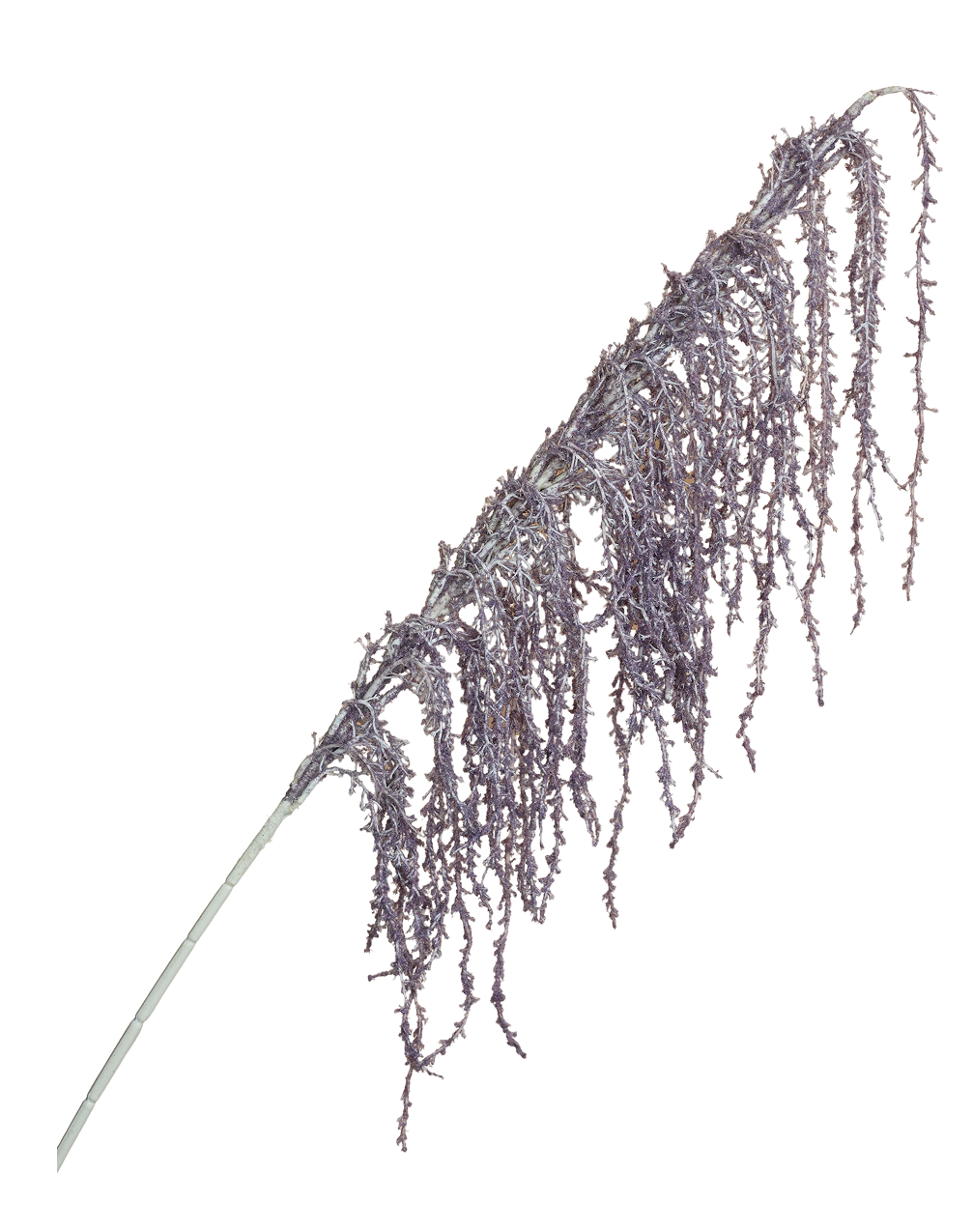 Flocked Cascading Astilbe | Available in 4 Colors