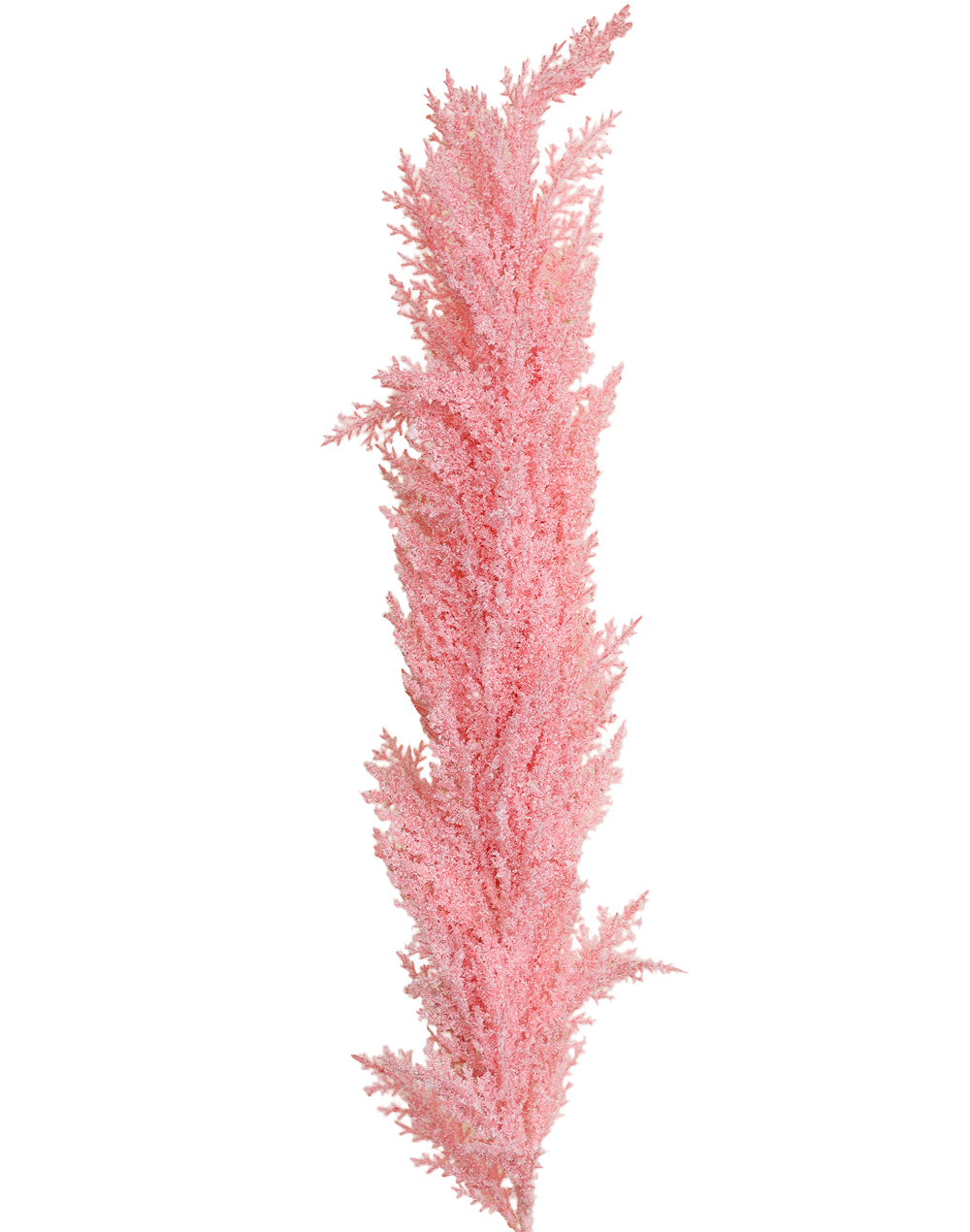 Flocked Winter Branch | Available in 3 Colors