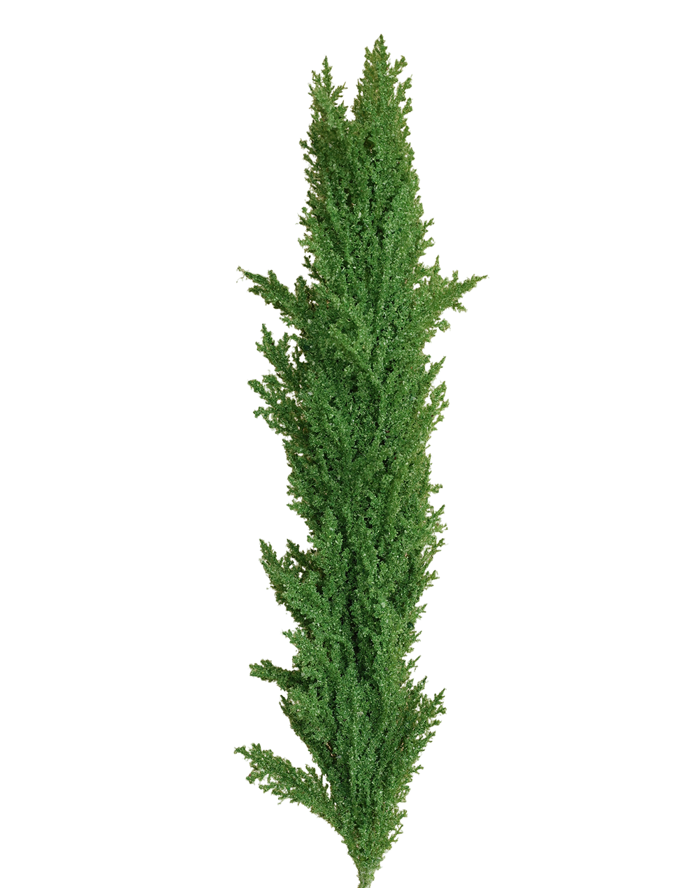 Flocked Winter Branch | Available in 3 Colors