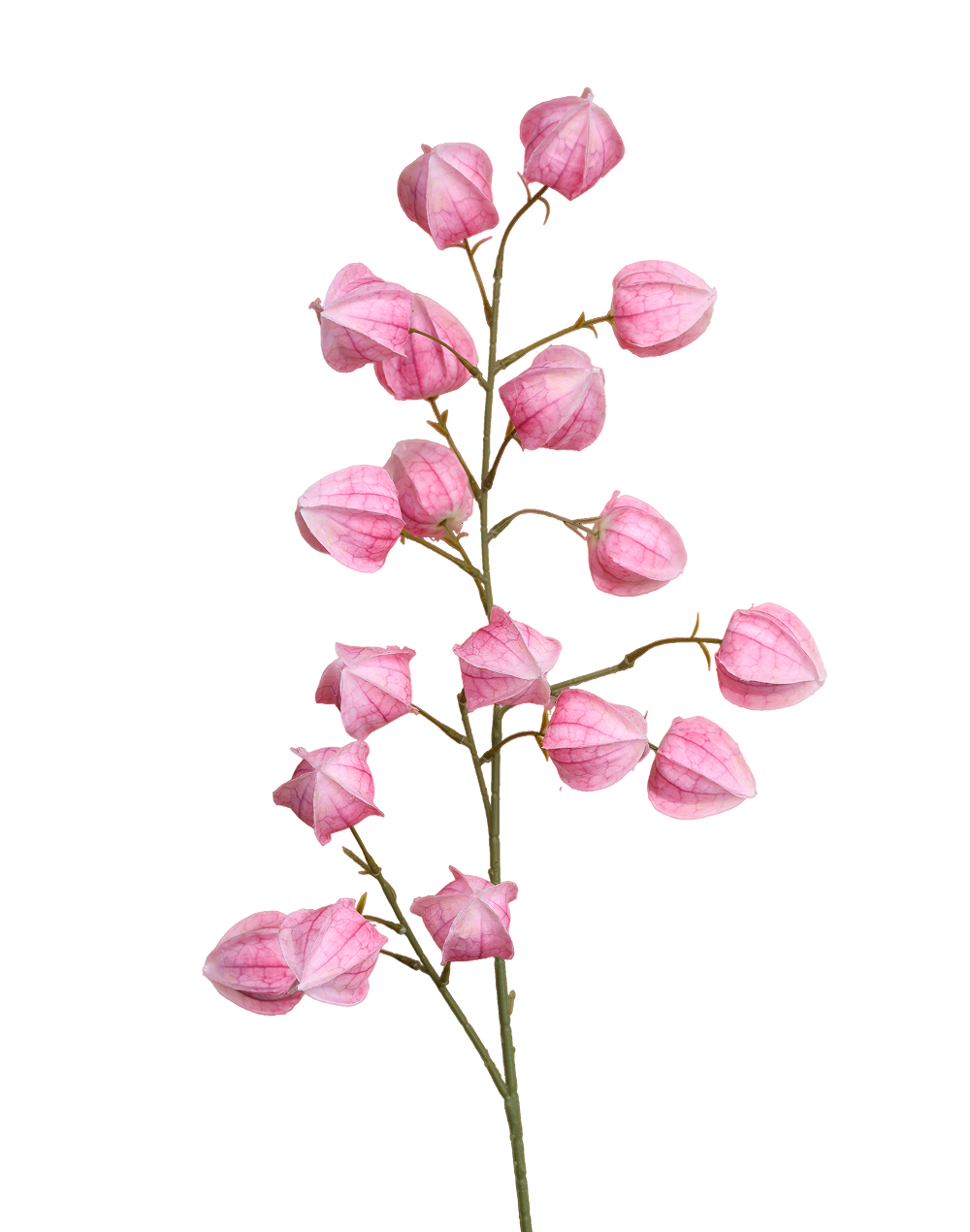 Silk Lantern Flower | Available in 2 Colors