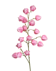 Silk Lantern Flower | Available in 2 Colors