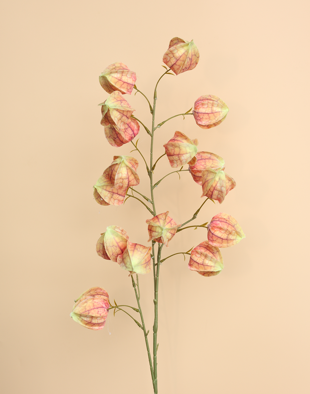 Sunset Silk Lantern Flower Orange