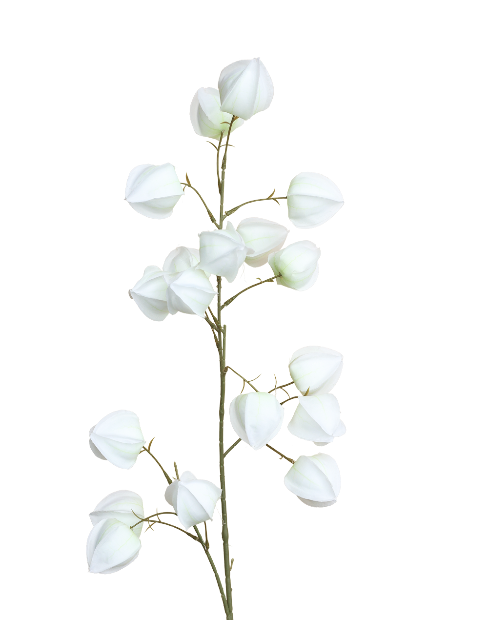 Silk Lantern Flower | Available in 2 Colors
