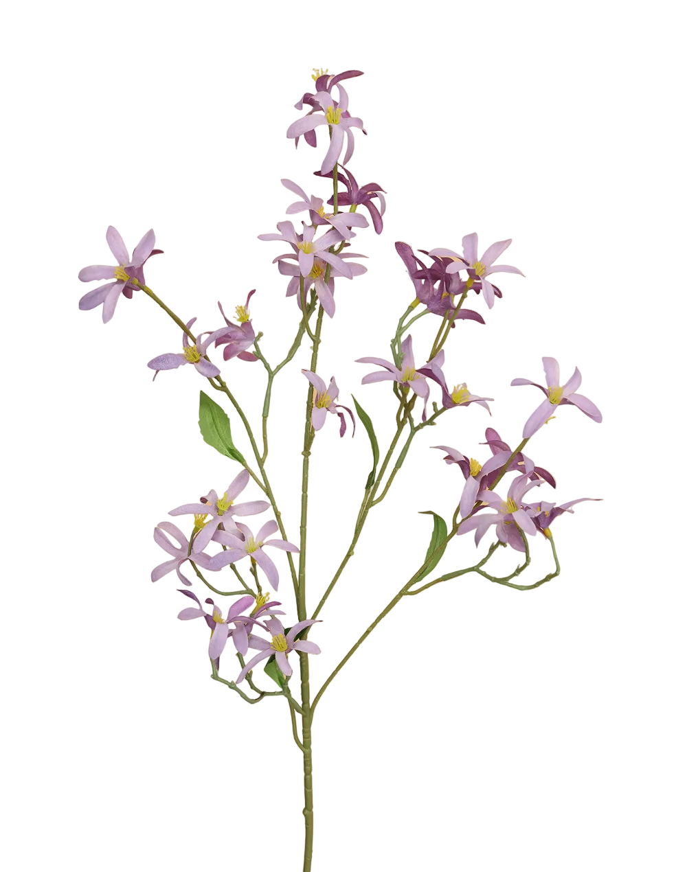 Lavender Zephyranthes  Spray Purple