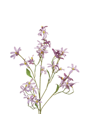 Lavender Zephyranthes  Spray Purple