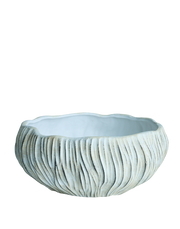 Ribbed Shell Planter