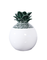 The Palma Collection-Pod Vase