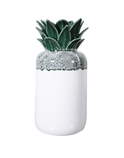 The Palma Collection-Petit Globe
