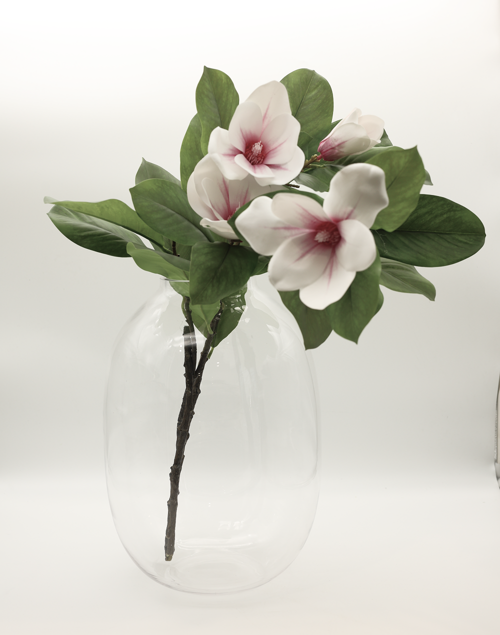 Medium Clear Capsule Vase Clear