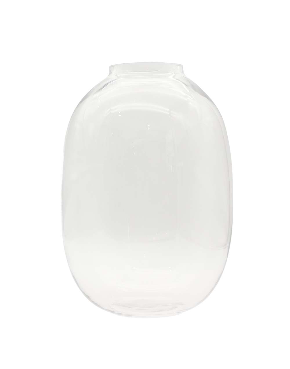Medium Clear Capsule Vase Clear