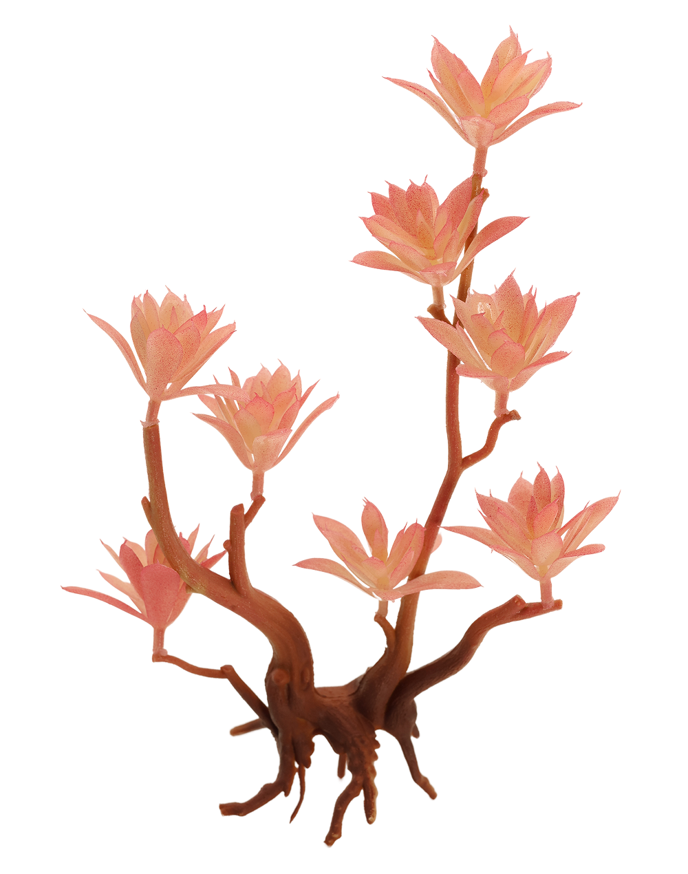 Pink Blooming Succulent Spray