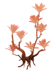 Pink Blooming Succulent Spray