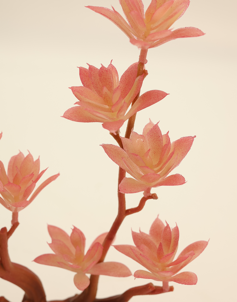 Pink Blooming Succulent Spray