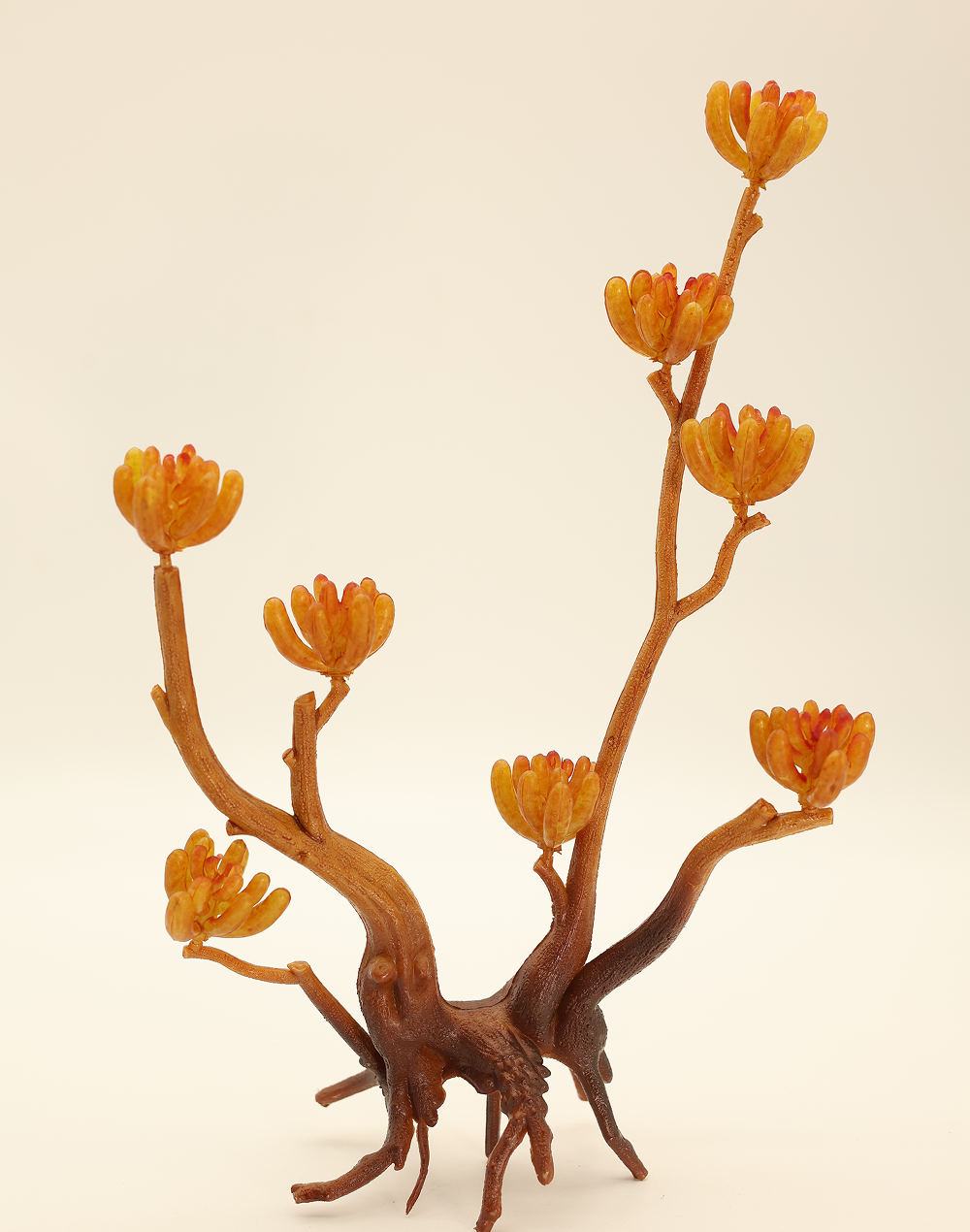 Pod Succulent
