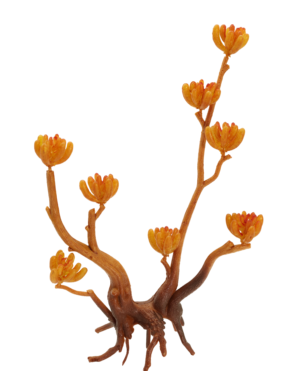 Pod Succulent