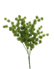 Pine Bush Green