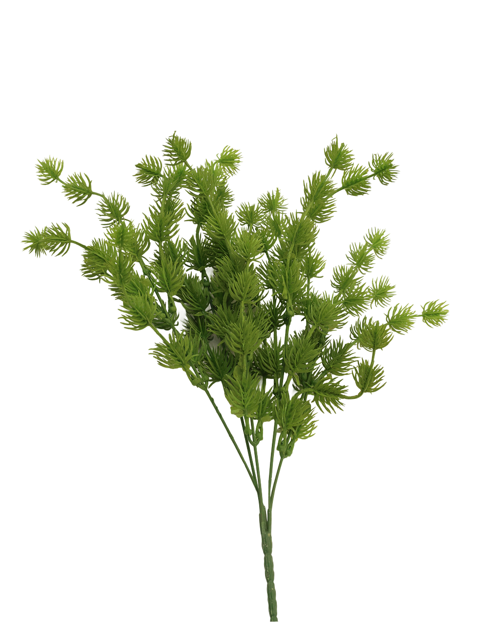 Pine Bush Green
