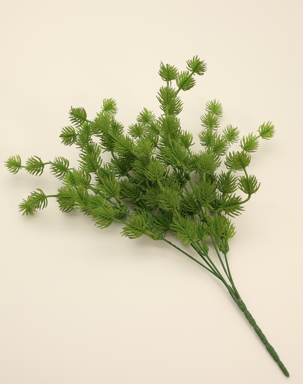 Pine Bush Green