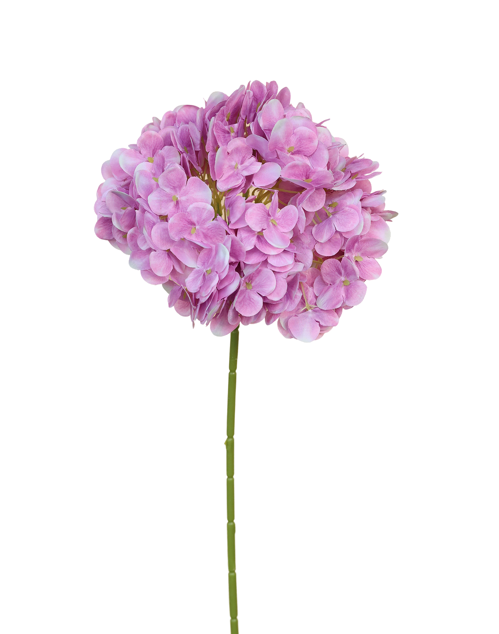 Hydrangea Stem | Available in 12 Colors