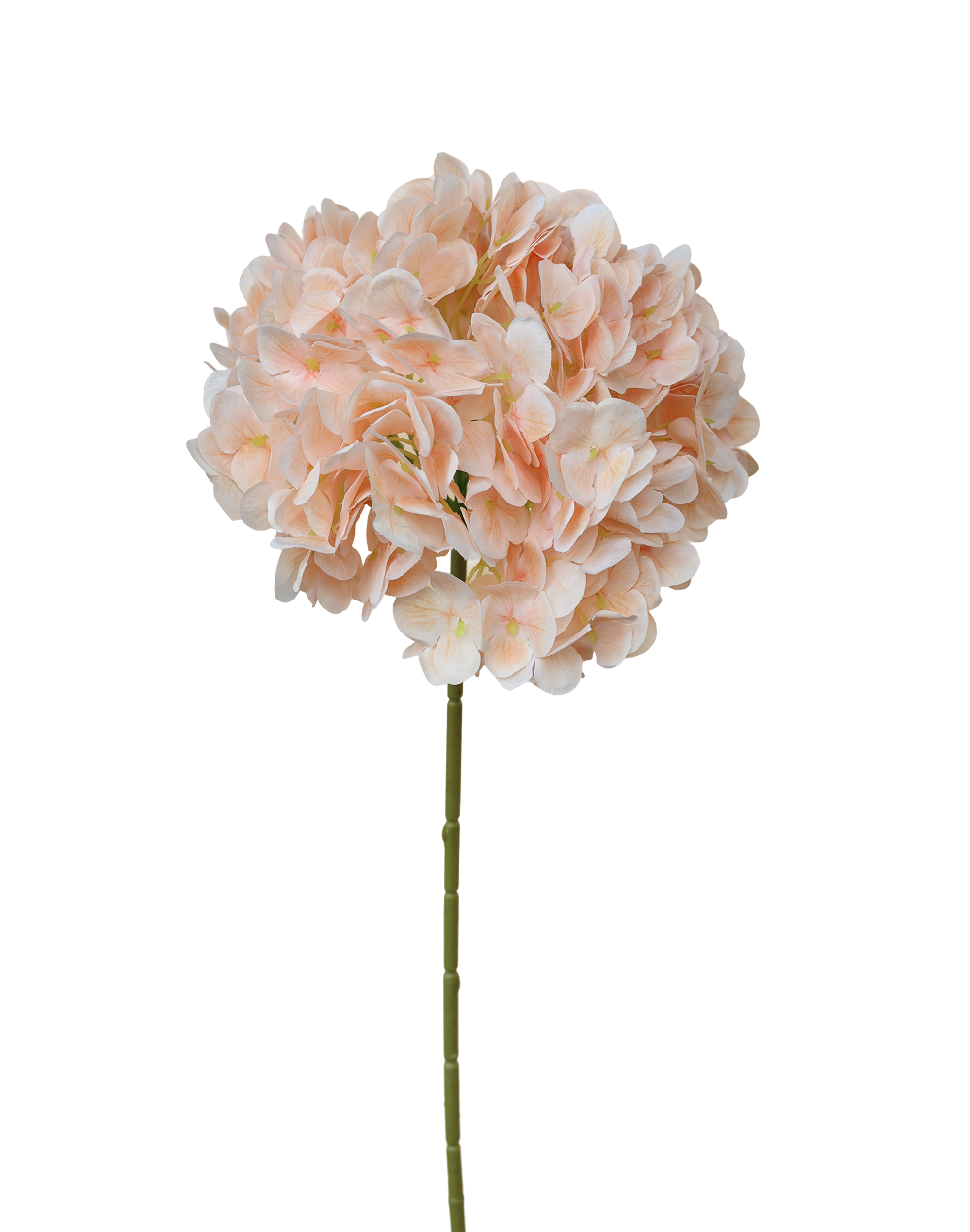 Hydrangea Stem | Available in 12 Colors