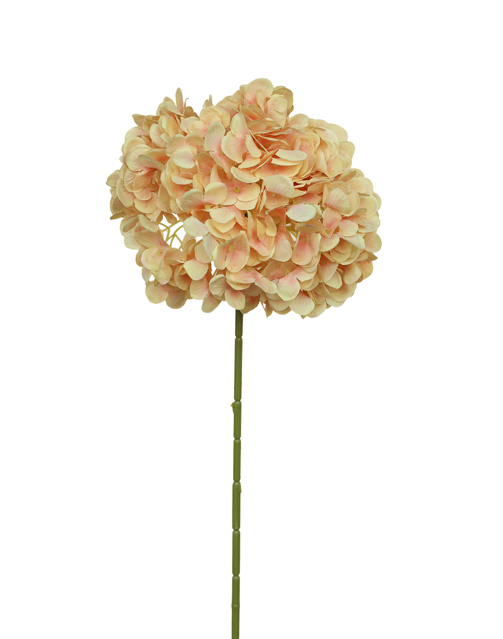 Hydrangea Stem | Available in 12 Colors