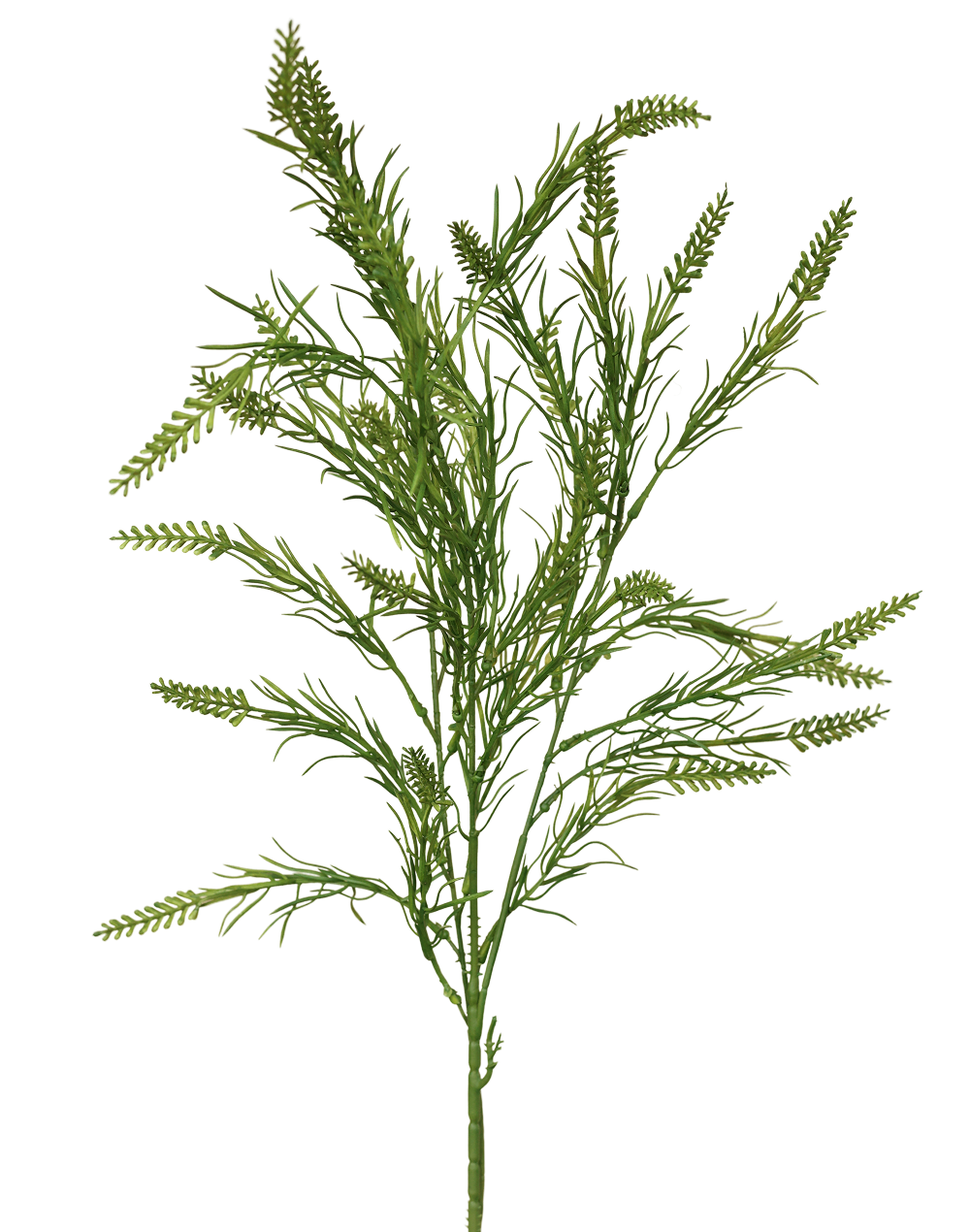 Sage Green Rice Green