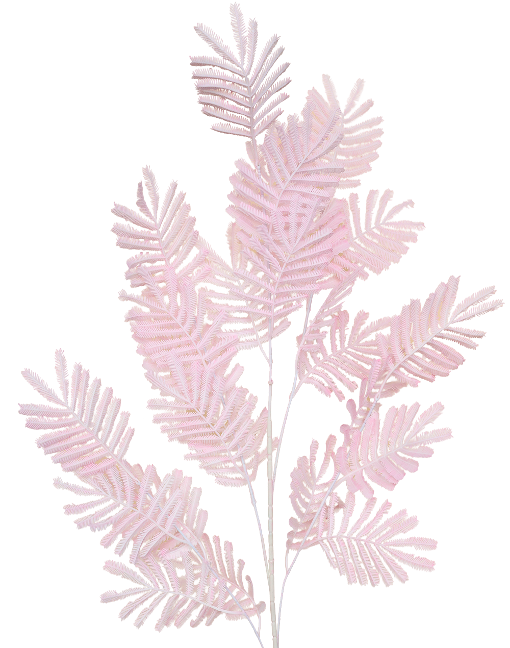 Plastic Mimosa Branch | Available in 5 Colors