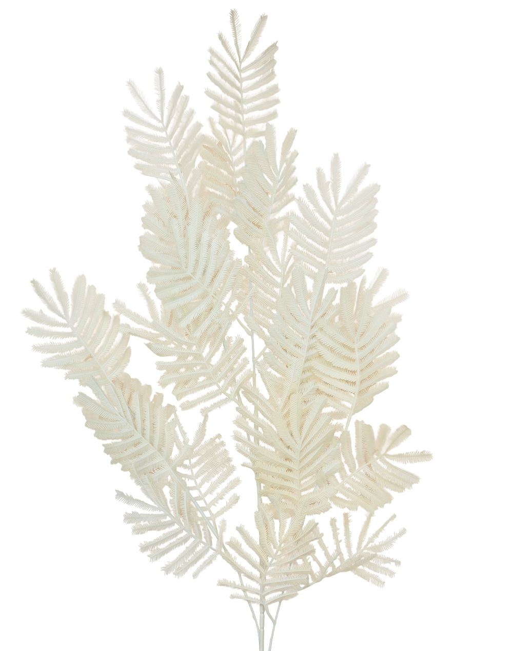 Plastic Mimosa Branch | Available in 5 Colors