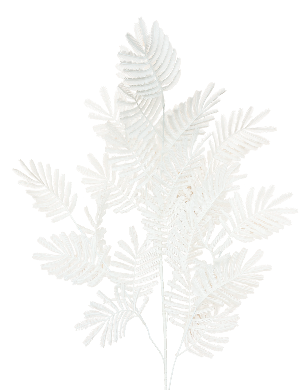 Plastic Mimosa Branch | Available in 5 Colors