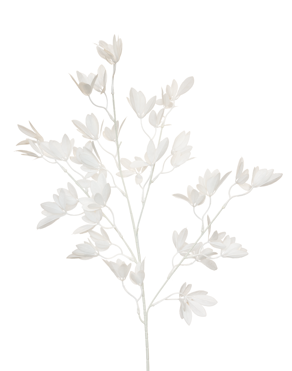 Schefflea Branch | Available in 2 Colors