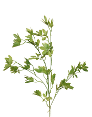 Schefflea Branch | Available in 2 Colors