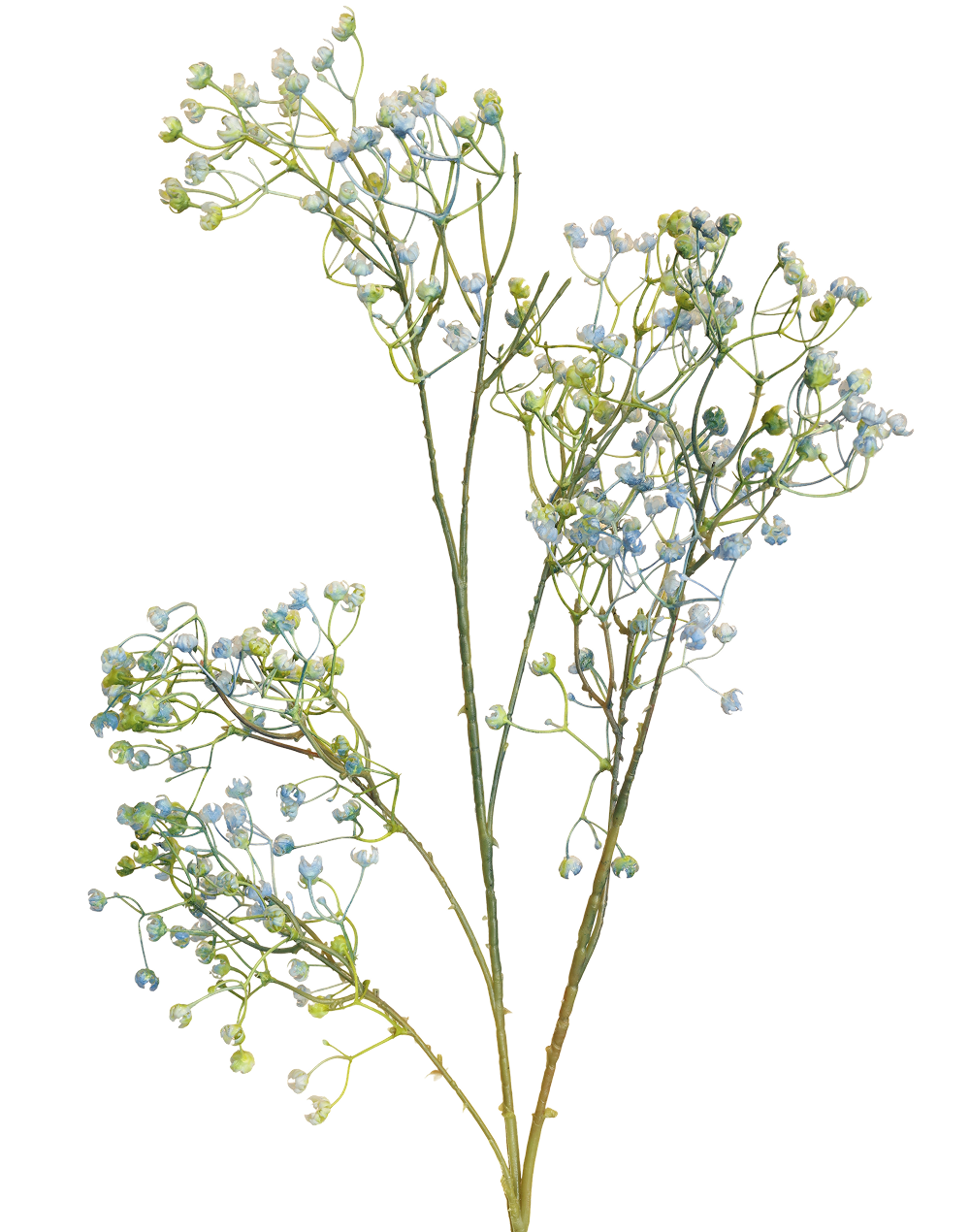 Rustic Baby Breath | Available in 2 Colors