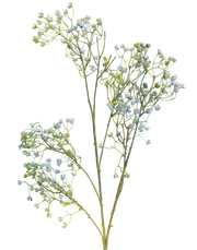 Rustic Baby Breath | Available in 2 Colors