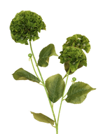 Geranium Spray | Available in 3 Colors