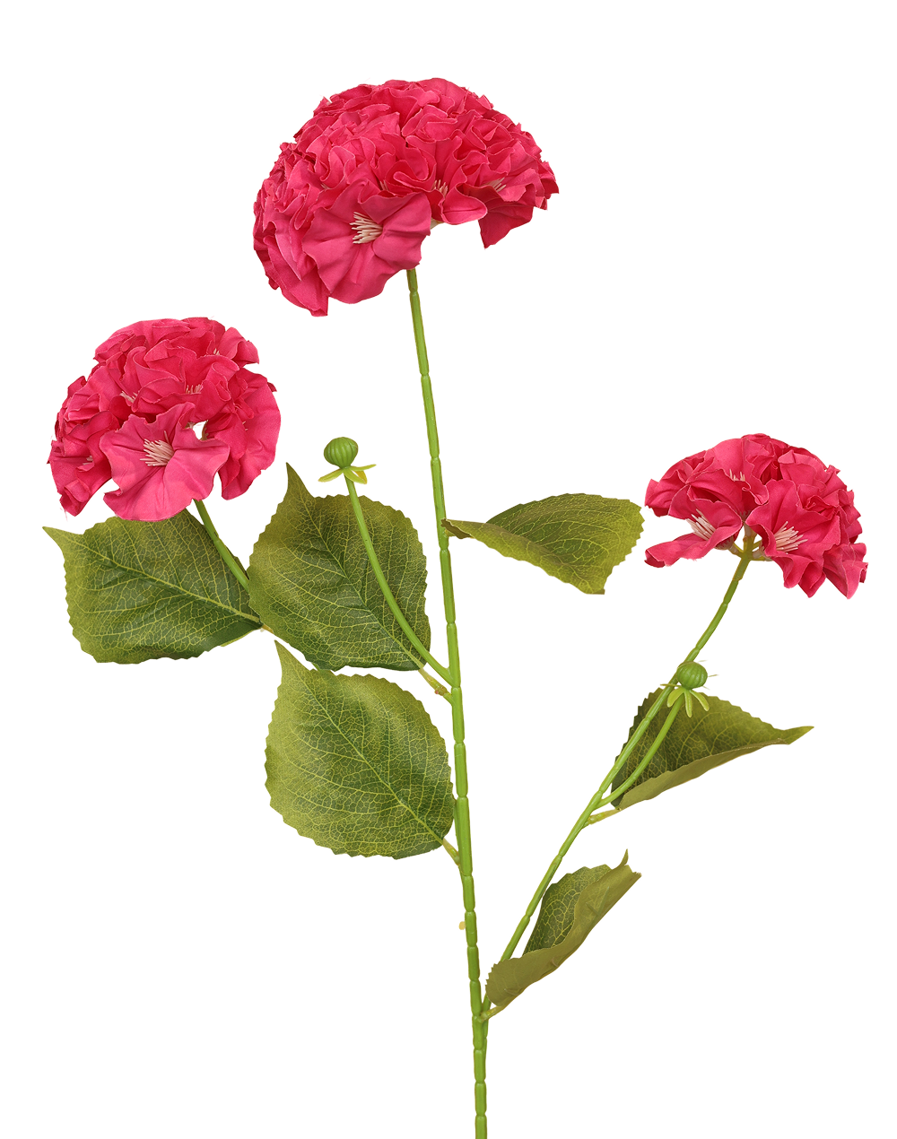 Geranium Spray | Available in 3 Colors