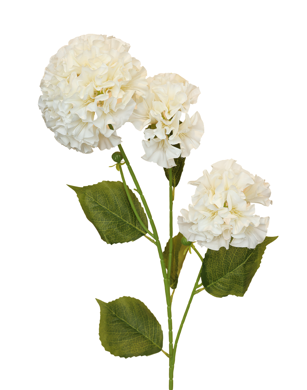 Geranium Spray | Available in 3 Colors