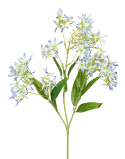 Star-Jasmine | Available in 3 Colors