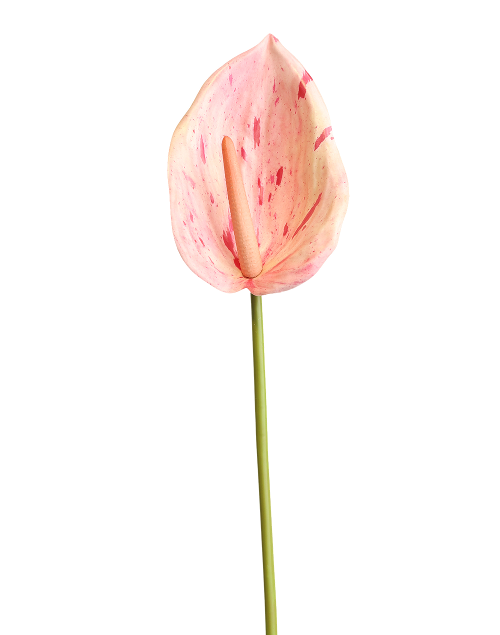 Anthurium Real Look | Available in 7 Colors