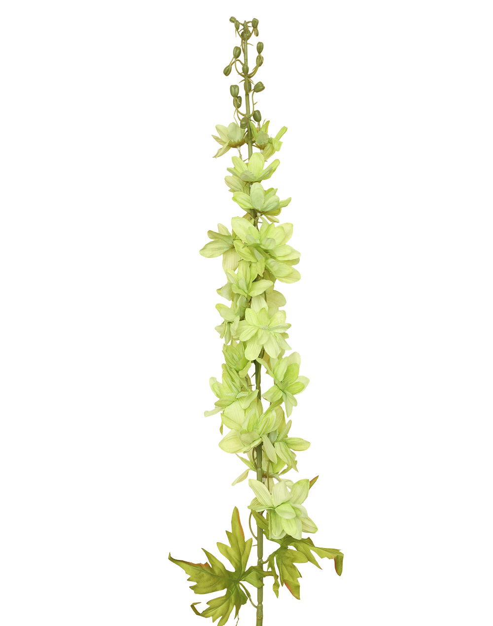 Delphinium Flowering Spray | Available in 3 Colors