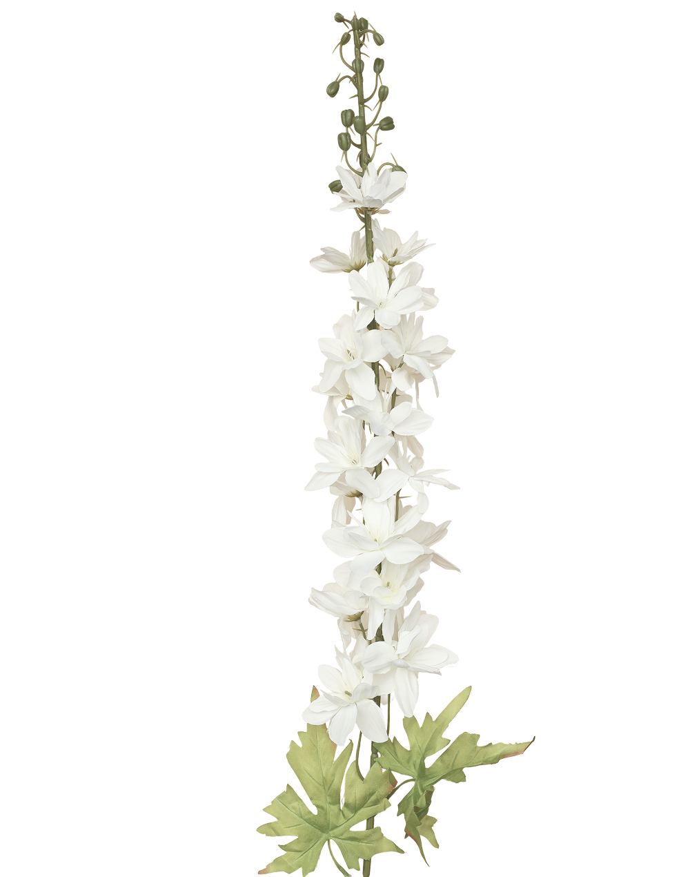 Delphinium Flowering Spray | Available in 3 Colors