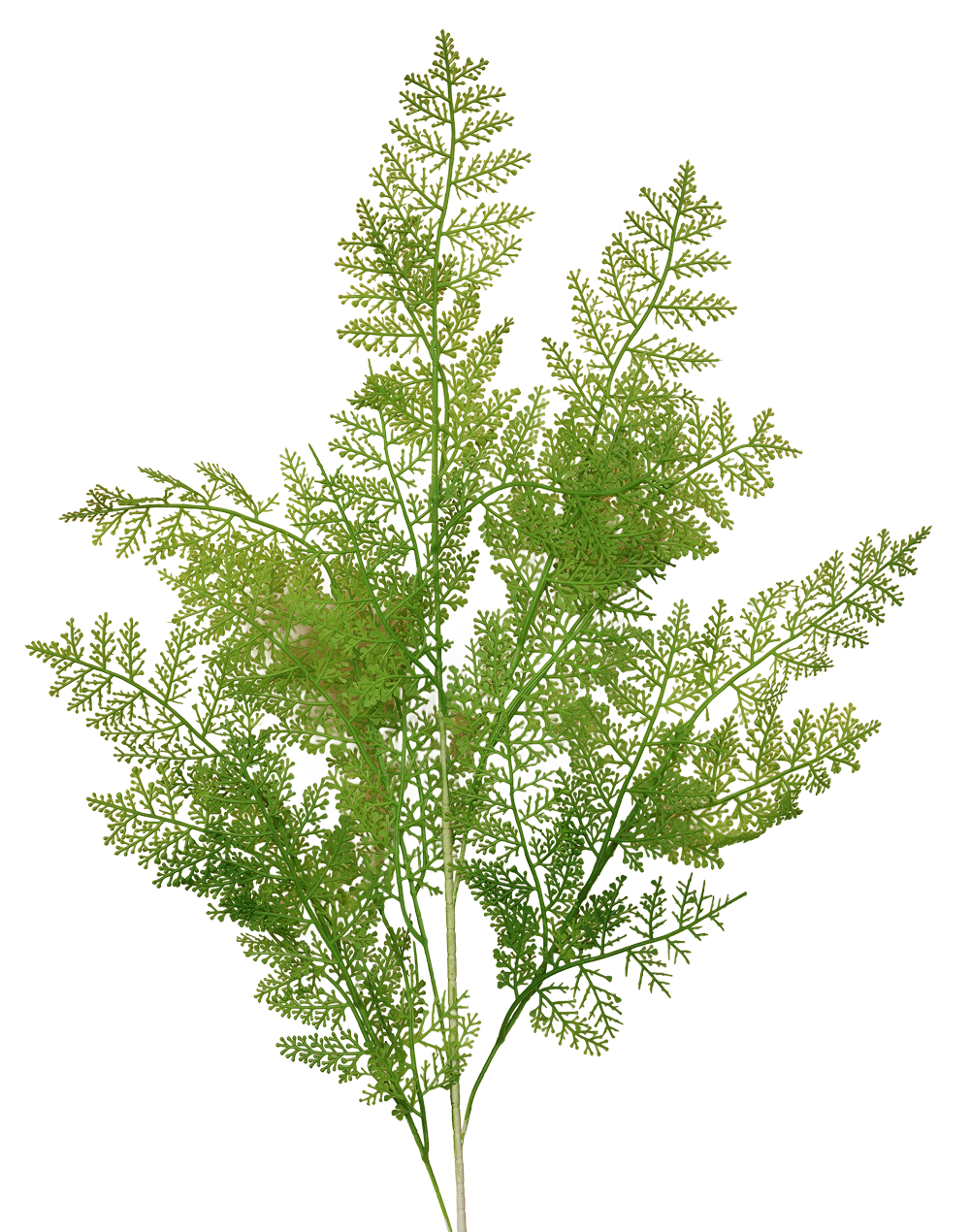 Plastic Lace Fern | Available in 3 Colors